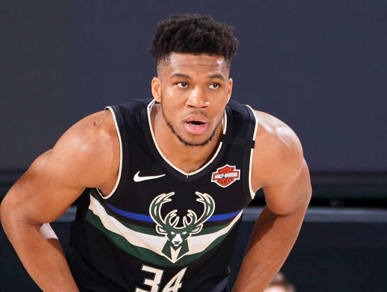 他们一同进 他们一同进