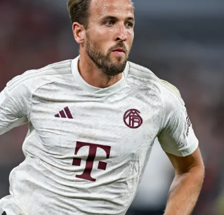 体育场建设 体育场建设