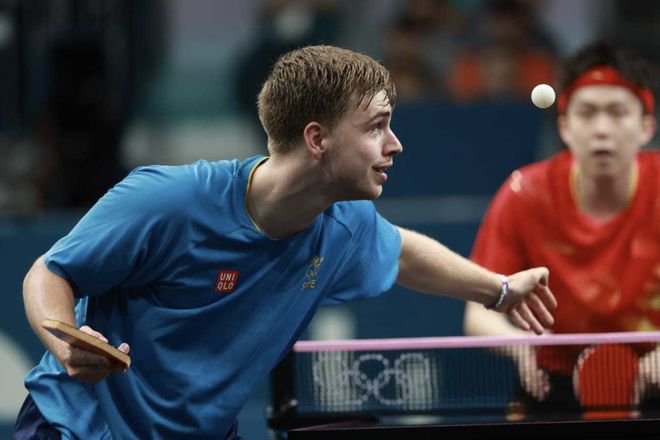 鹈鹕显得节 鹈鹕显得节